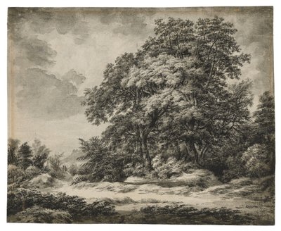 Waldlandschaft (recto), ca. 1838-1848 von Edward Lear